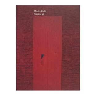 132 - Mario Palli - Ossimori (2016 - Galleria d’Arte Contemporanea L. Spazzapan - a cura di A. Delneri)